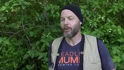 Bug experts: threat of giant hornets overblown Instructional Video