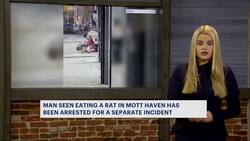 Sources: Man seen on video eating rat in the Bronx arrested in separate incident News Clip