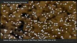 Actor James Earl Jones dead at 93 Instructional Video