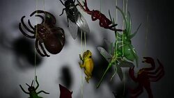 Atmosphere of Halloween Stock Footage