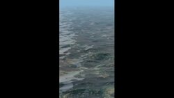 The Eye of a Motionless Earth Instructional Video