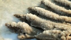 Characteristics of Sedimentary Rocks: Size, Provenance, and Composition Instructional Video