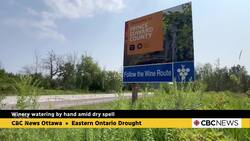 As Prince Edward County bakes, this winemaker is watering his plants by hand News Clip
