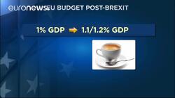 State of the Union: EU-Poland dinner date fails to revive romance News Clip