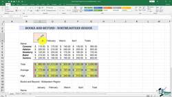 The Complete Excel Guide: Beginners to Advanced - Using Format Painter Instructional Video