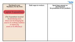 Difference between Capital, Revenue and Deferred Revenue Expenditure Instructional Video