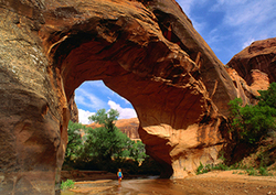 Weathering: The Erosion of Rock by Natural Forces Instructional Video