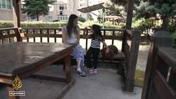 Turkey’s stray dog law: Parliament has approved law alarming animal lovers Instructional Video