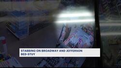 Caught on camera: Melee inside Bushwick 99-cent store leaves 1 man stabbed News Clip