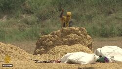 India farmers struggle amid COVID-19 lockdown News Clip