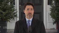 PM assures Canadians the economy will 'bounce back strongly' News Clip