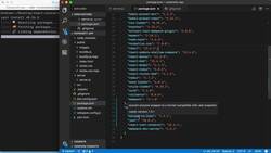 The Complete React Developer Course (with Hooks and Redux) - Regular vs Development Dependencies Instructional Video