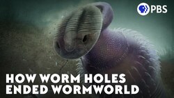 How Worm Holes Ended Wormworld Instructional Video