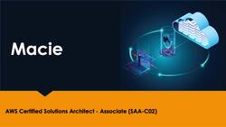 AWS Certified Solutions Architect Associate (SAA-C02) Exam Prep Course - Macie Instructional Video