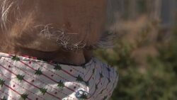 Blue Jays fans disappointed by loss of radio broadcast News Clip