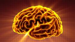 Stomach Drop Feeling: Why Does Your Stomach “Drop” When You’re Anxious? Instructional Video