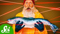 The Wildest Ways We Remove Lice from Salmon Instructional Video