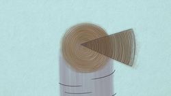 The world's largest organism | Alex Rosenthal Instructional Video