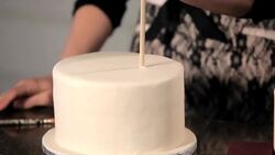 How to Decorate a Wedding Cake with Michelle Doll Instructional Video