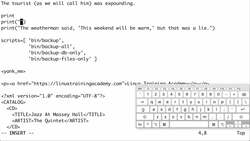 Vim Masterclass - Exercise Eight - Text Objects - Walkthrough Instructional Video