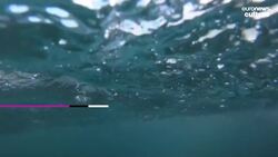 Annual Greek Orthodox cold water plunge causes a splash on day of Epiphany News Clip