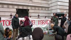 Children leave teddies outside Foreign Office demanding Gaza ceasefire News Clip