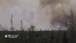 Halifax councillor wants to ban open fires during wildfire season News Clip