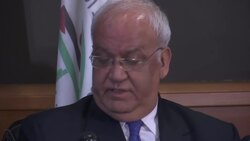 Palestinians file complaint against Israel at ICC News Clip