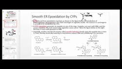 The Smooth Endoplasmic Reticulum for Anatomy and Physiology Instructional Video