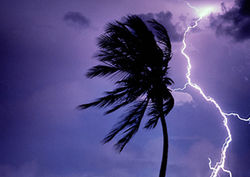 Monsoon Zone Instructional Video