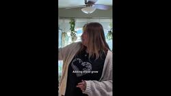 How I keep my 500 houseplants happy and healthy all year News Clip