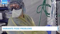 Newsy’s Latest Headlines News Clip