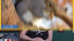 What is Reproduction? - Lesson Plan Instructional Video