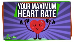 Do You Have a Maximum Heart Rate? Instructional Video