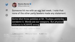 The potential impact of Maxime Bernier on the election News Clip