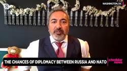 Rep. Ami Bera on Approaching Putin Like a 'Poker Player' Over Ukraine News Clip