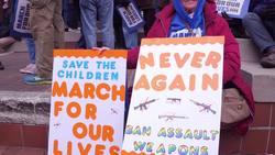 The Societal Concept of Status Instructional Video