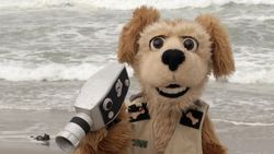 Animal Alphabet: C is for Coconut Crab Instructional Video