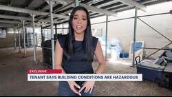 Exclusive: Sheepshead Bay tenant calls for help amid rodent and safety concerns News Clip