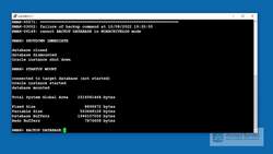 Oracle Database Administration from Zero to Hero - Practice - Performing RMAN Backups - Part I (1 of 2) Instructional Video
