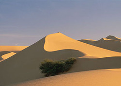 Secret of the Sahara Instructional Video