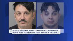 Police: 2 men charged with stealing watch worth $275,000 in Greenvale Instructional Video