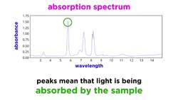 Spectrophotometry and Beer's Law Instructional Video