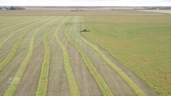 Sask. farmer says Trump's proposed tariffs will keep her 'up at night' News Clip