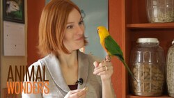 Parrot's First Day Home Instructional Video