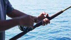 man and fishing rod Stock Footage