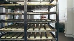 Factory Workers Pushing Baking Rack Stock Footage