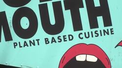 CLEAN : In Los Angeles, Oktoberfest is... vegan News Clip