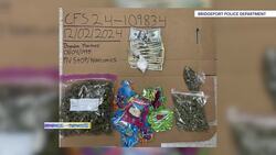Bridgeport man arrested on fentanyl and marijuana charges News Clip