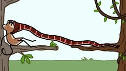 Why are Snakes so Creepy? Instructional Video